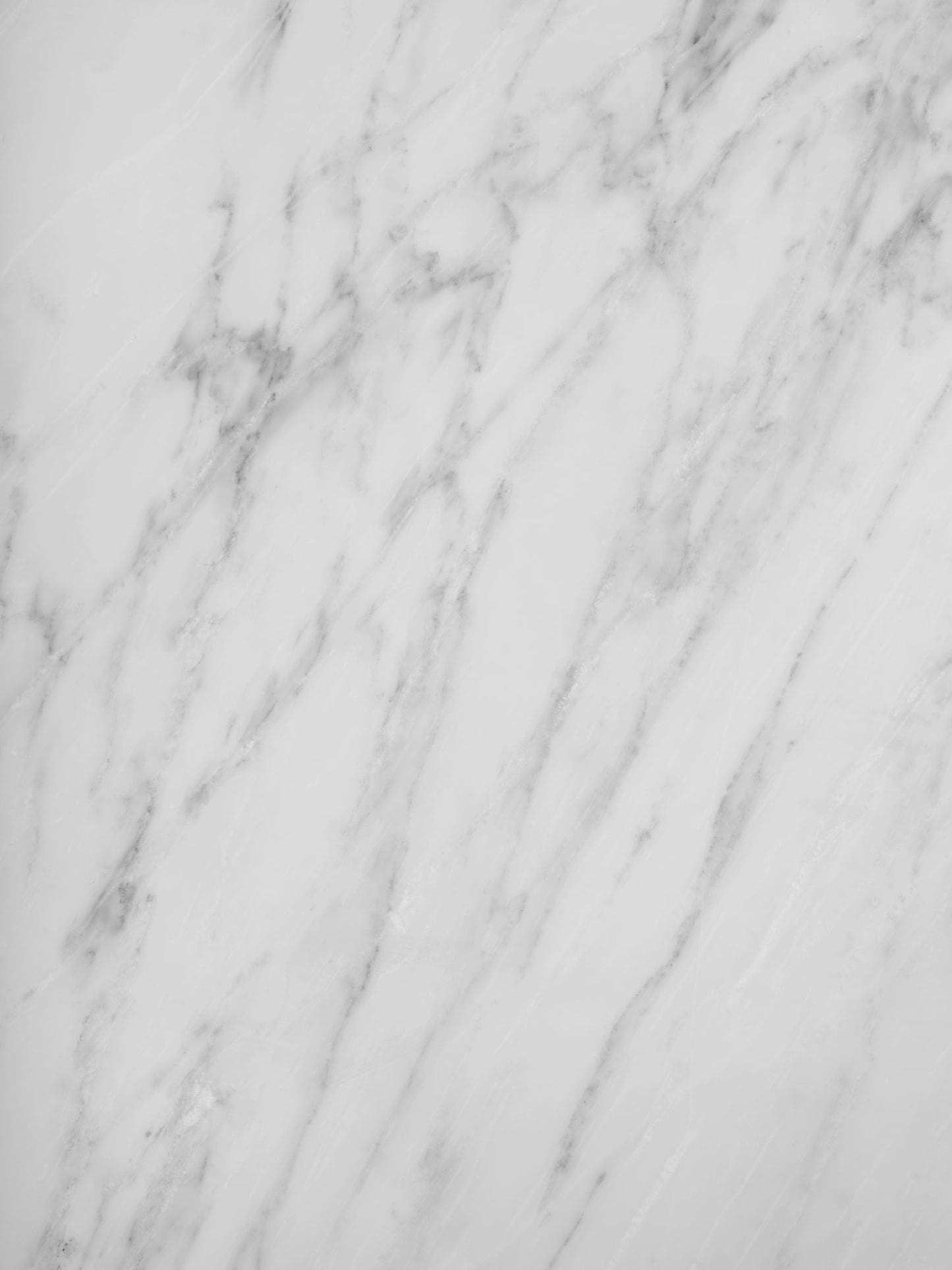 PACIFIC WHITE