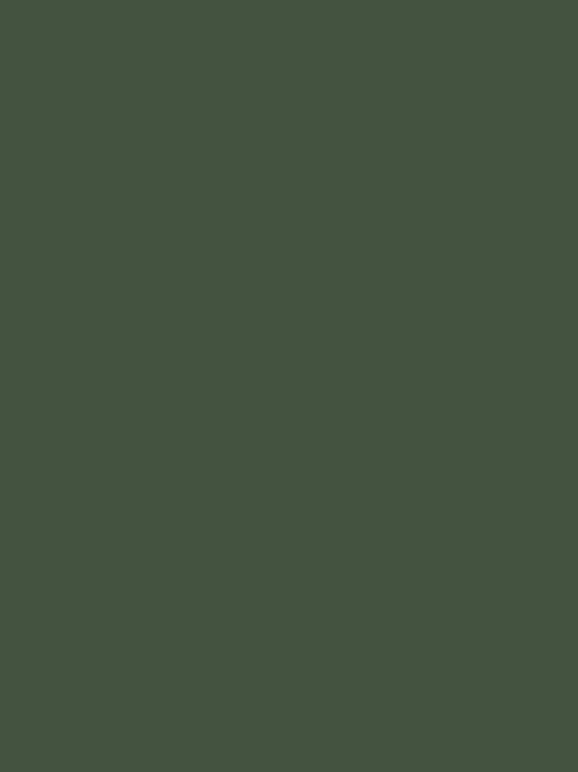 DEEP OLIVE