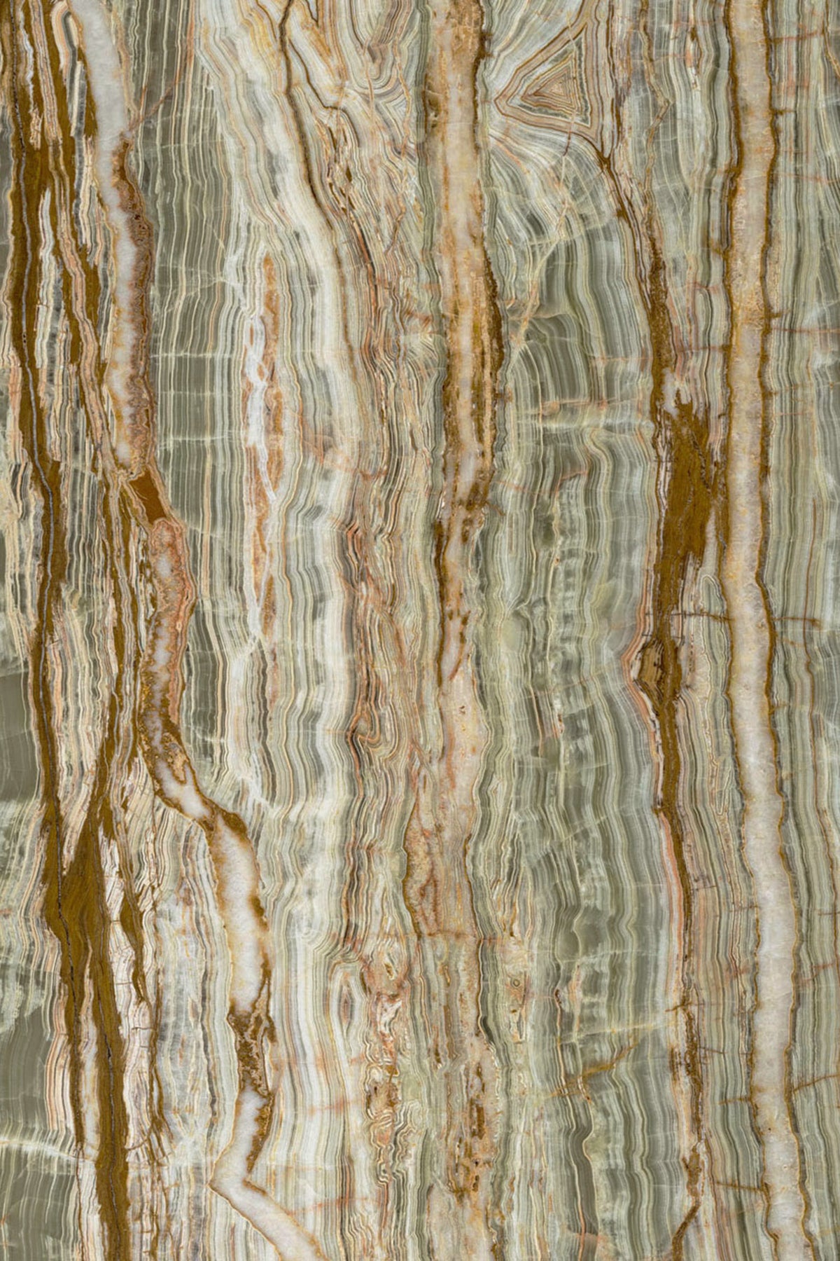 BAMBOO ONYX