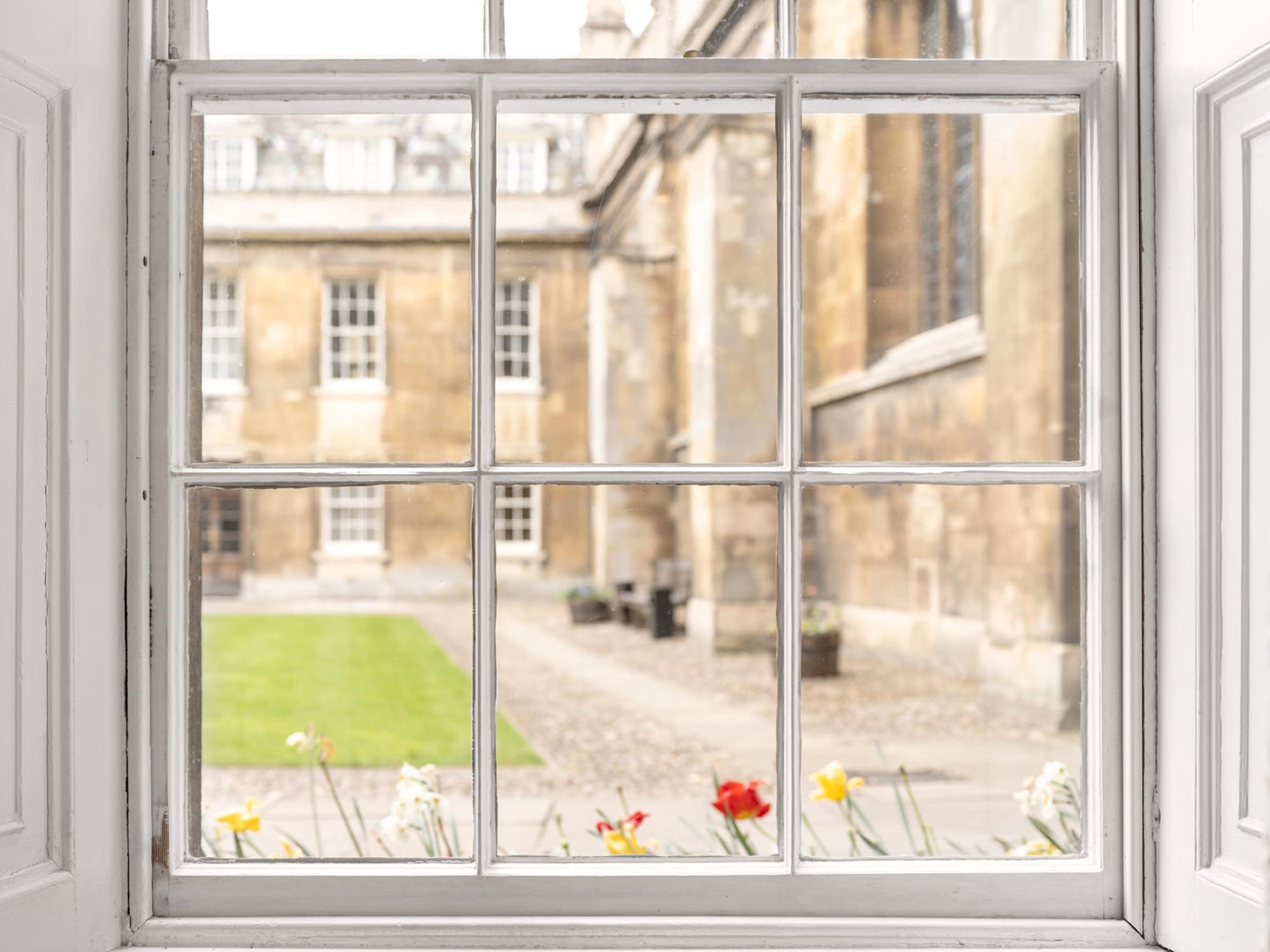COURTYARD VIEW